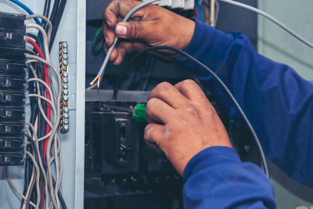 Best Electrician for Home Renovation  in Luckey, OH